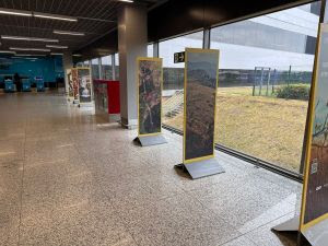 Inhotim, Instituto Motiva e BH Airport realizam exposição sobre o bioma Cerrado Inhotim, Instituto Motiva e BH Airport realizam exposição sobre o bioma Cerrado