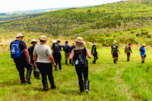 Parque Estadual de Vila Velha se consolida como referência nacional em turismo de natureza com lançamento da plataforma global da Embratur