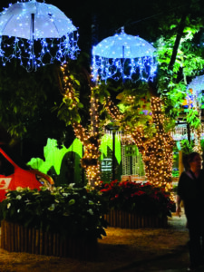 Théo se encanta com as luzes de Natal by Expoflora