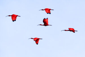 Evento celebra 20 anos da Rota das Emoções e reforça potencial turístico do Nordeste