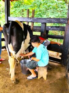 Théo não parou um minuto nesse destino