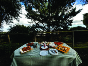 Charles Bugeja, fundador do Ta’Xmun Olive Grove, revela como o azeite maltês une natureza, ciência e experiência sensorial