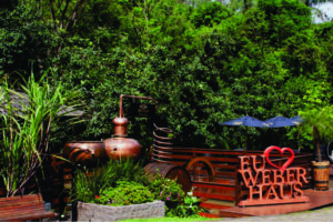 Destilarias impulsionam o turismo de experiência e movimentam economias regionais