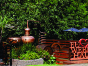 Destilarias impulsionam o turismo de experiência e movimentam economias regionais Destilarias impulsionam o turismo de experiência e movimentam economias regionais