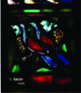 Exposição na Catedral da Sé destaca detalhes de seus 56 vitrais