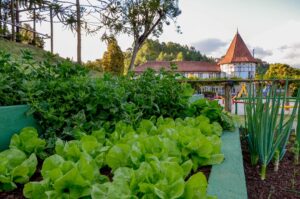 Hotéis ibis Styles Taubaté e Vila Inglesa conquistam certificação internacional Green Key