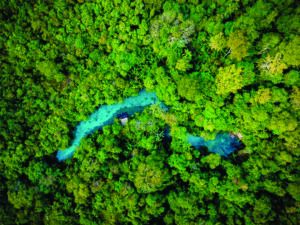 Nascente Azul é em 2025 mais uma vez o atrativo mais visitado de Bonito (MS)