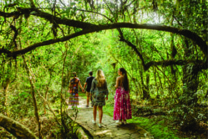 Parque Estadual de Vila Velha coloca Ponta Grossa na rota do birdwatching