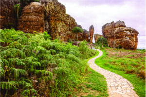 Parque Estadual de Vila Velha coloca Ponta Grossa na rota do birdwatching