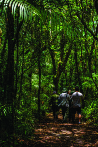 Parque Nacional do Superagui inaugura Trilha do Ararapira para ciclistas e caminhantes após investimento de R$ 2 milhões