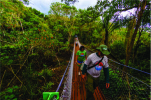 Parque Nacional do Superagui inaugura Trilha do Ararapira para ciclistas e caminhantes após investimento de R$ 2 milhões