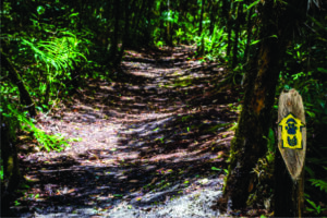 Parque Nacional do Superagui inaugura Trilha do Ararapira para ciclistas e caminhantes após investimento de R$ 2 milhões