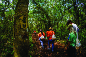 Parque Nacional do Superagui inaugura Trilha do Ararapira para ciclistas e caminhantes após investimento de R$ 2 milhões