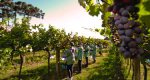 Casa Perini celebra 30 anos do projeto Fração Única 