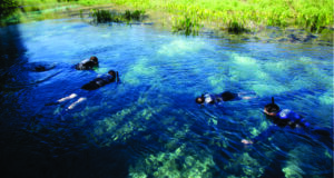 Mato Grosso do Sul levará modelo de turismo resiliente ao clima para o One Planet Global Roundtable