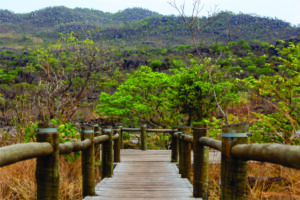 Parque Nacional da Chapada dos Veadeiros transforma natureza em desenvolvimento local