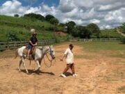 Théo aproveita o final de semana no campo Théo aproveita o final de semana no campo