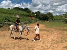 Théo aproveita o final de semana no campo