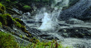 Yangmingshan o parque nacional que mostra o lado natural de Taipei na primavera