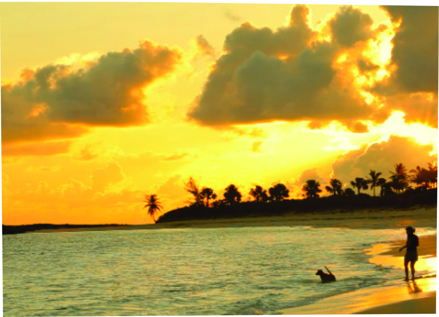 Cinco dias em Nassau & Paradise Island: roteiro para aproveitar o essencial