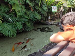 Théo passa o final de semana na fazenda