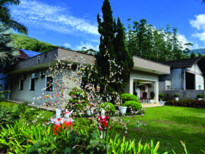 Vila turística de Pomerode se transforma em rota de árvores de Páscoa