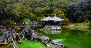 Natureza exclusiva e experiências privativas, Taiwan e o turismo de luxo