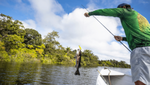 Trilhas de longo curso e pesca sustentável fortalecem turismo comunitário em diferentes regiões do Brasil
