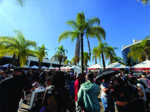 Cultura, turismo, educação e inovação são destaques do Thai Festival em São Paulo