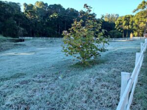 Monte Verde além do frio novas atrações, sabores e experiências de A a Z