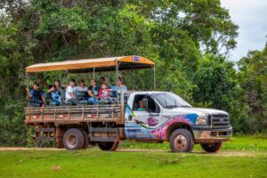 Turismo com crianças no Pantanal, diverte e fortalece educação ambiental nas férias de julho