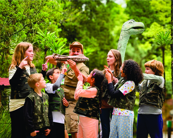 Dinossauros brasileiros viram protagonistas em parque temático Vila Encantada de Santa Catarina Dinossauros brasileiros viram protagonistas em parque temático Vila Encantada de Santa Catarina