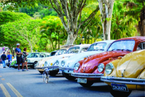 Férias de julho em Cunha inverno na serra com agenda cultural intensa e atrações para todos os perfis