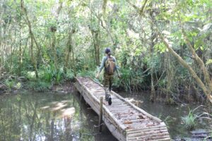 Governo de São Paulo lança Rede Estadual de Trilhas para integrar turismo sustentável e conservação ambiental