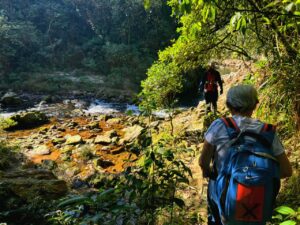 Governo de São Paulo lança Rede Estadual de Trilhas para integrar turismo sustentável e conservação ambiental