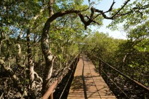 Governo de São Paulo lança Rede Estadual de Trilhas para integrar turismo sustentável e conservação ambiental