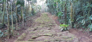 Governo de São Paulo lança Rede Estadual de Trilhas para integrar turismo sustentável e conservação ambiental