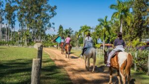 Hotel Fazenda Mazzaropi celebra o Dia dos Pais com homenagem, festa caipira e almoço especial