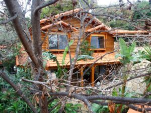 Amirim, a cidade israelense 100% vegetariana