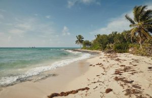 Autoridades participarão de live sobre a reabertura do turismo nas Bahamas
