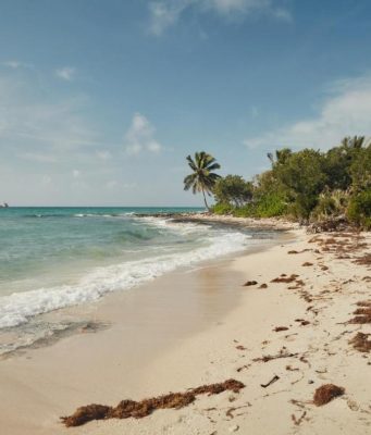Autoridades participarão de live sobre a reabertura do turismo nas Bahamas