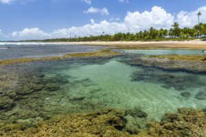 Bahia foi o estado mais buscado em 2019 no Hurb