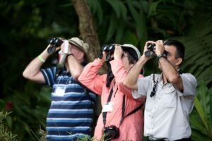 Birdwatching, opção de ecoturismo