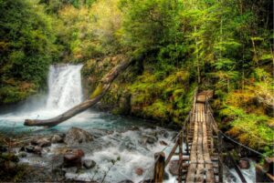 Conecte-se com a natureza no Hotel Termas de Puyehue