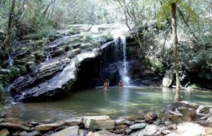 Ecoturismo é opção de lazer para fugir de aglomerações