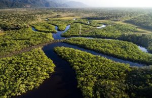 Estados do norte do Brasil se unem para criar Rotas Amazônicas Integradas