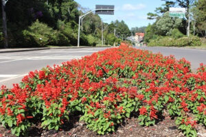 Gramado investe em plano para a retomada do turismo pós Covid-19