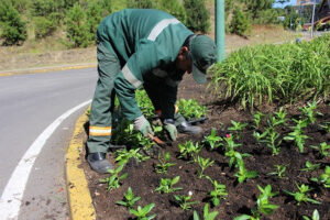 Gramado investe em plano para a retomada do turismo pós Covid-19