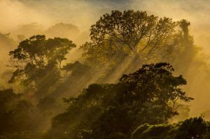 Hotel na Amazônia vende fotos de natureza para ajudar famílias carentes