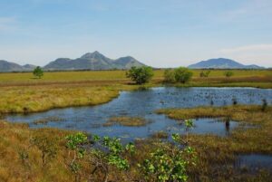 Lavrado é mais um produto turístico de Roraima